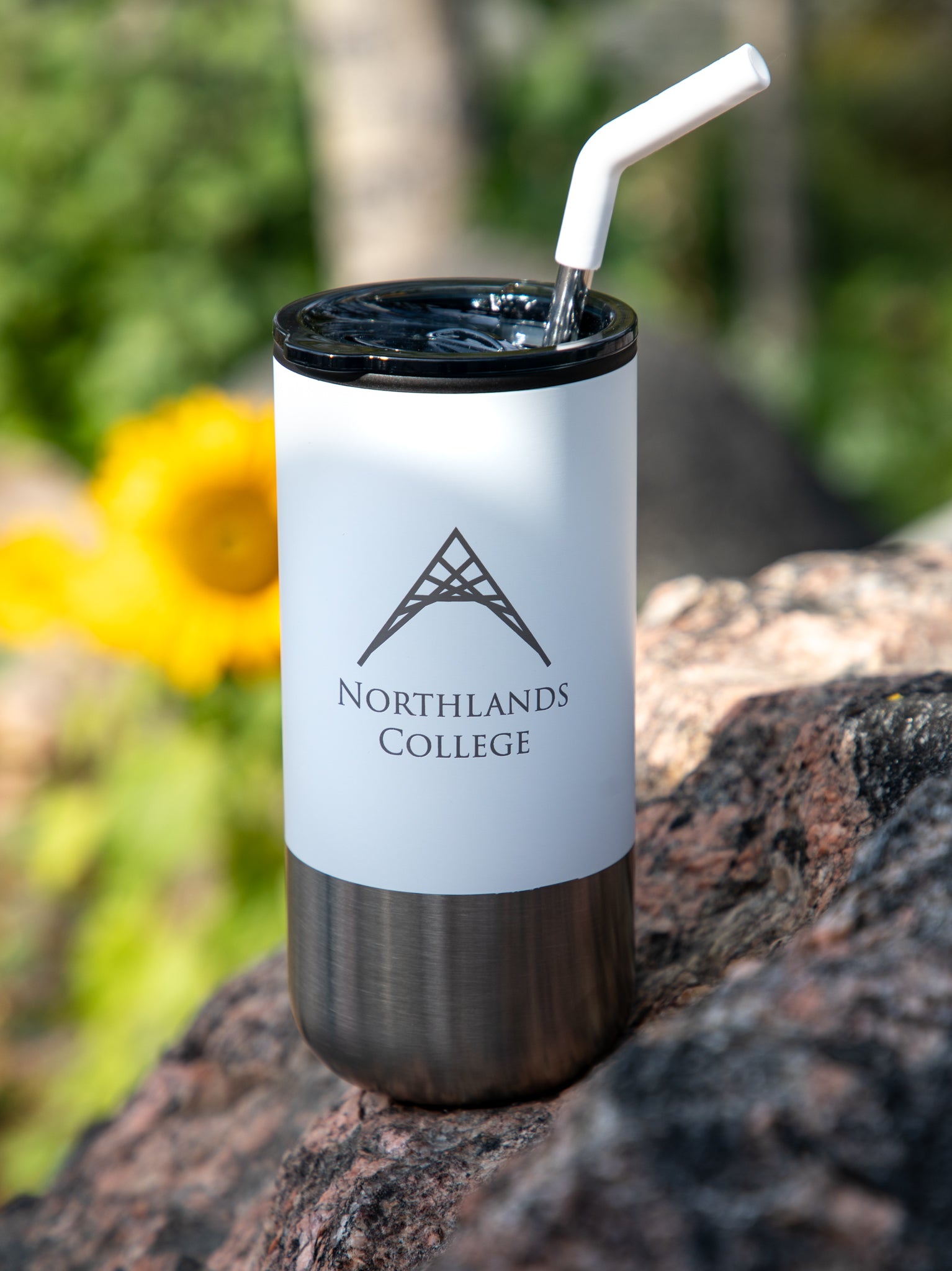 Lagom Tumbler with Stainless Straw - 16 oz