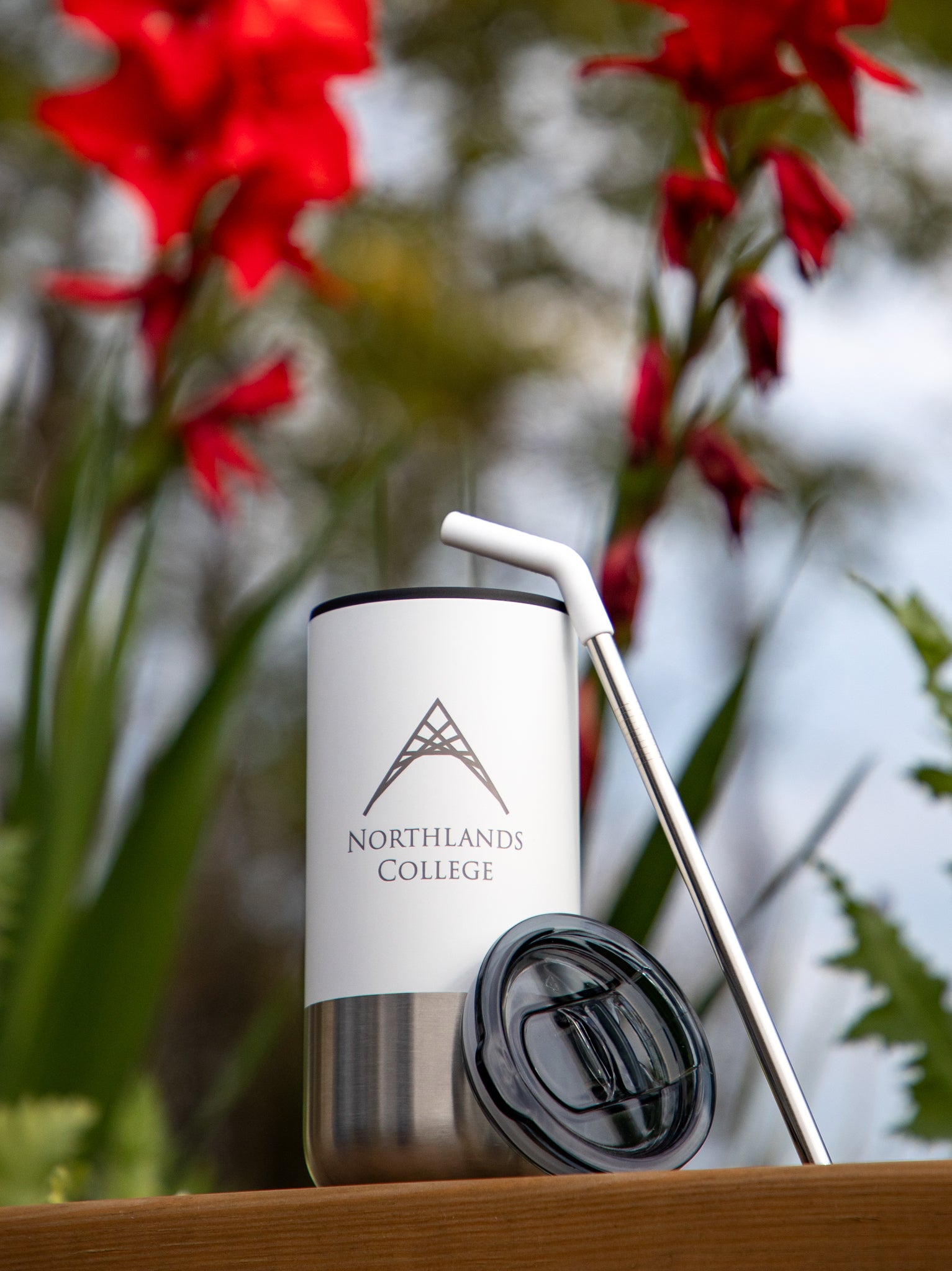 Lagom Tumbler with Stainless Straw - 16 oz
