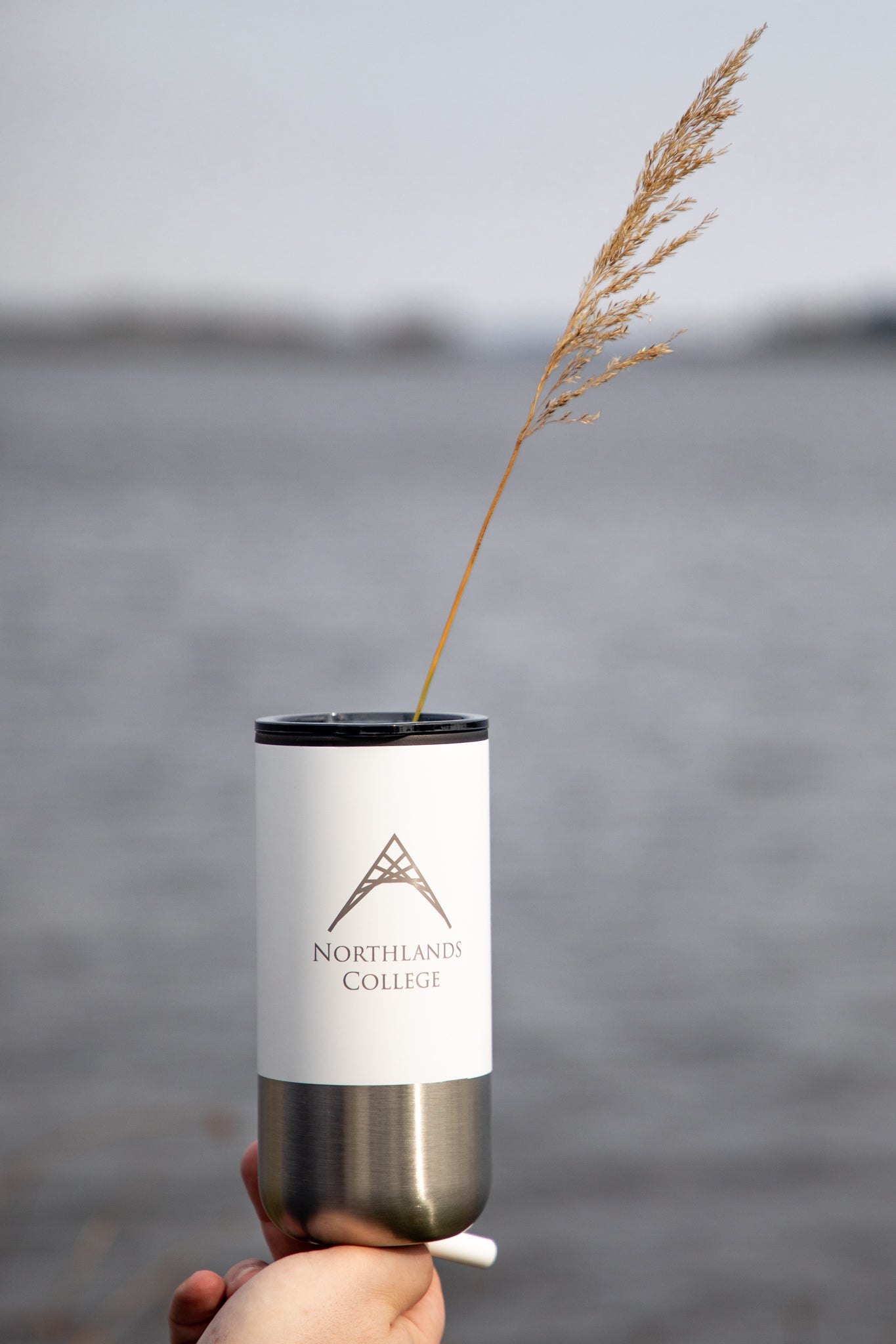 Lagom Tumbler with Stainless Straw - 16 oz