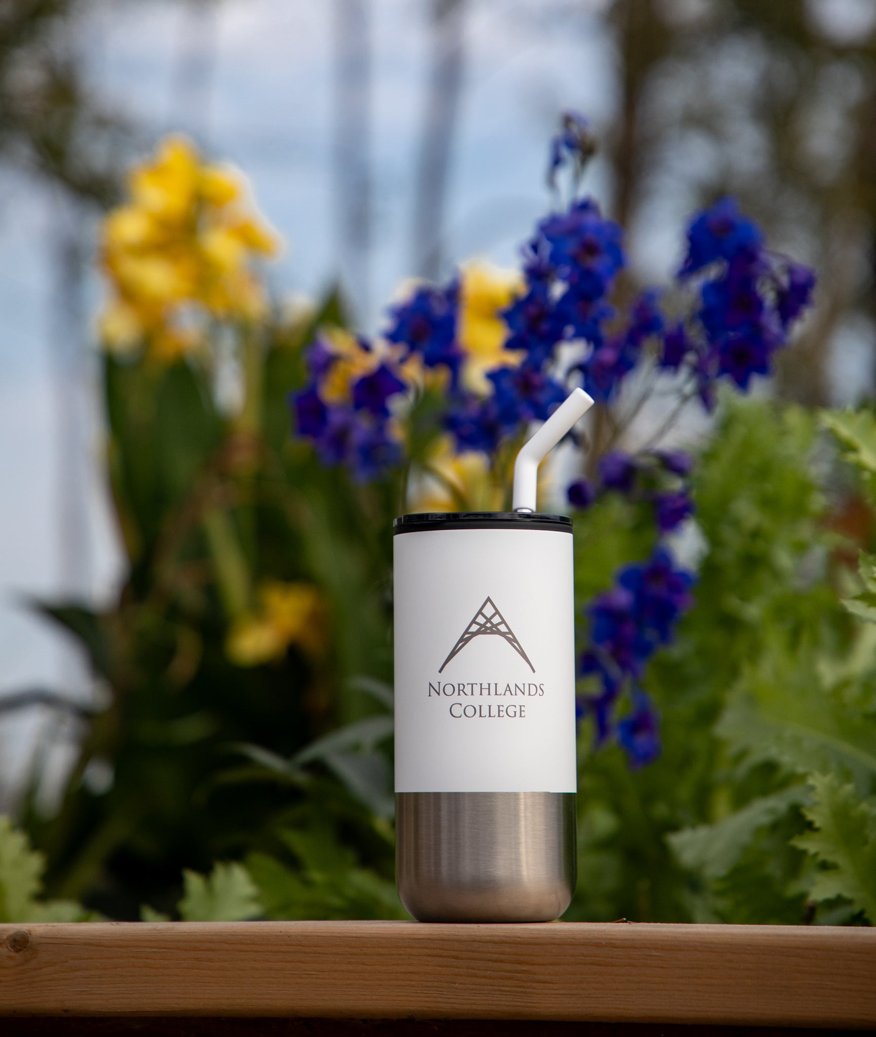 Lagom Tumbler with Stainless Straw - 16 oz